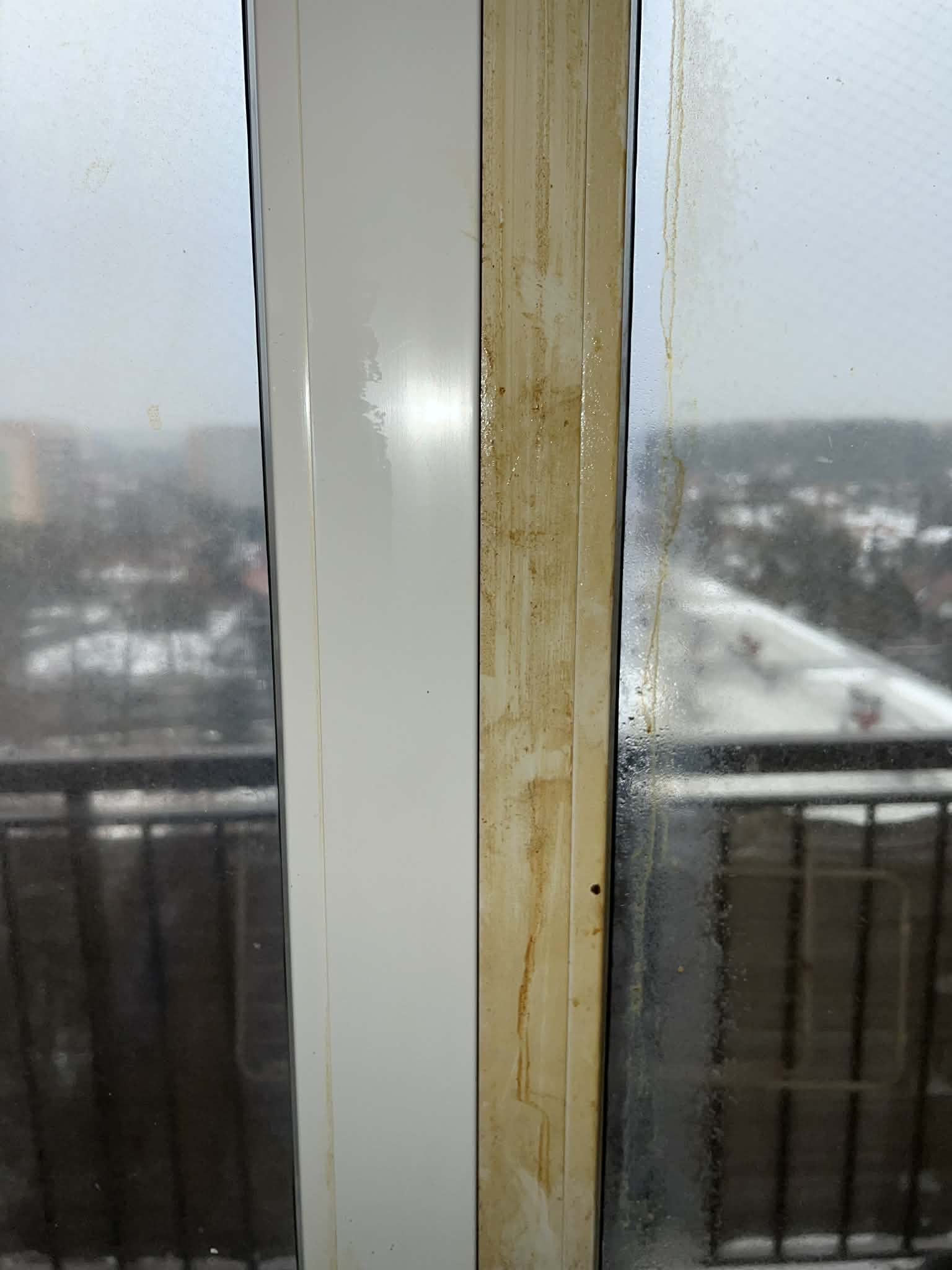 Mycie okien podczas gruntownego sprzątania